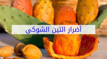 مشكلة الإسراف في التين الشوكي