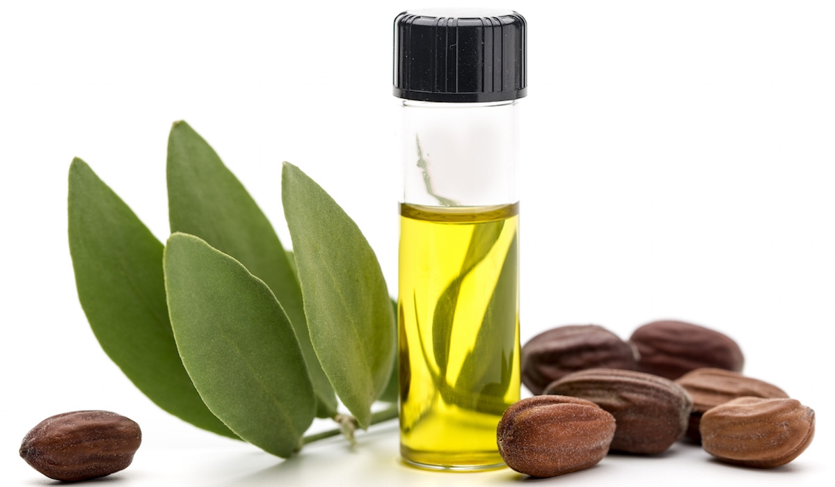 فوائد زيت الجوجوبا