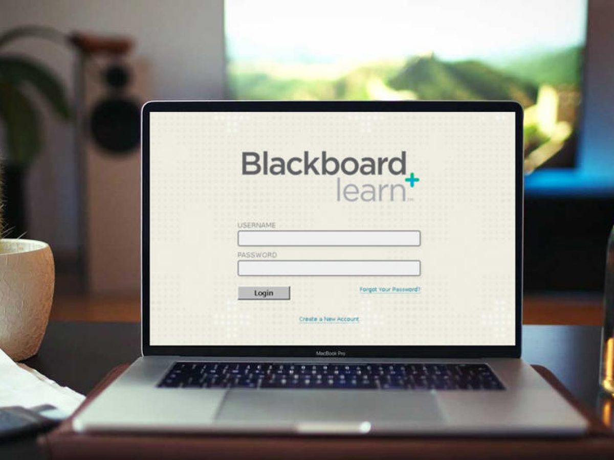 تسجيل دخول بلاك بورد الكلية التقنية blackboard leam ثقفني