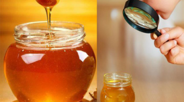 الفرق بين العسل الأصلى من المغشوش