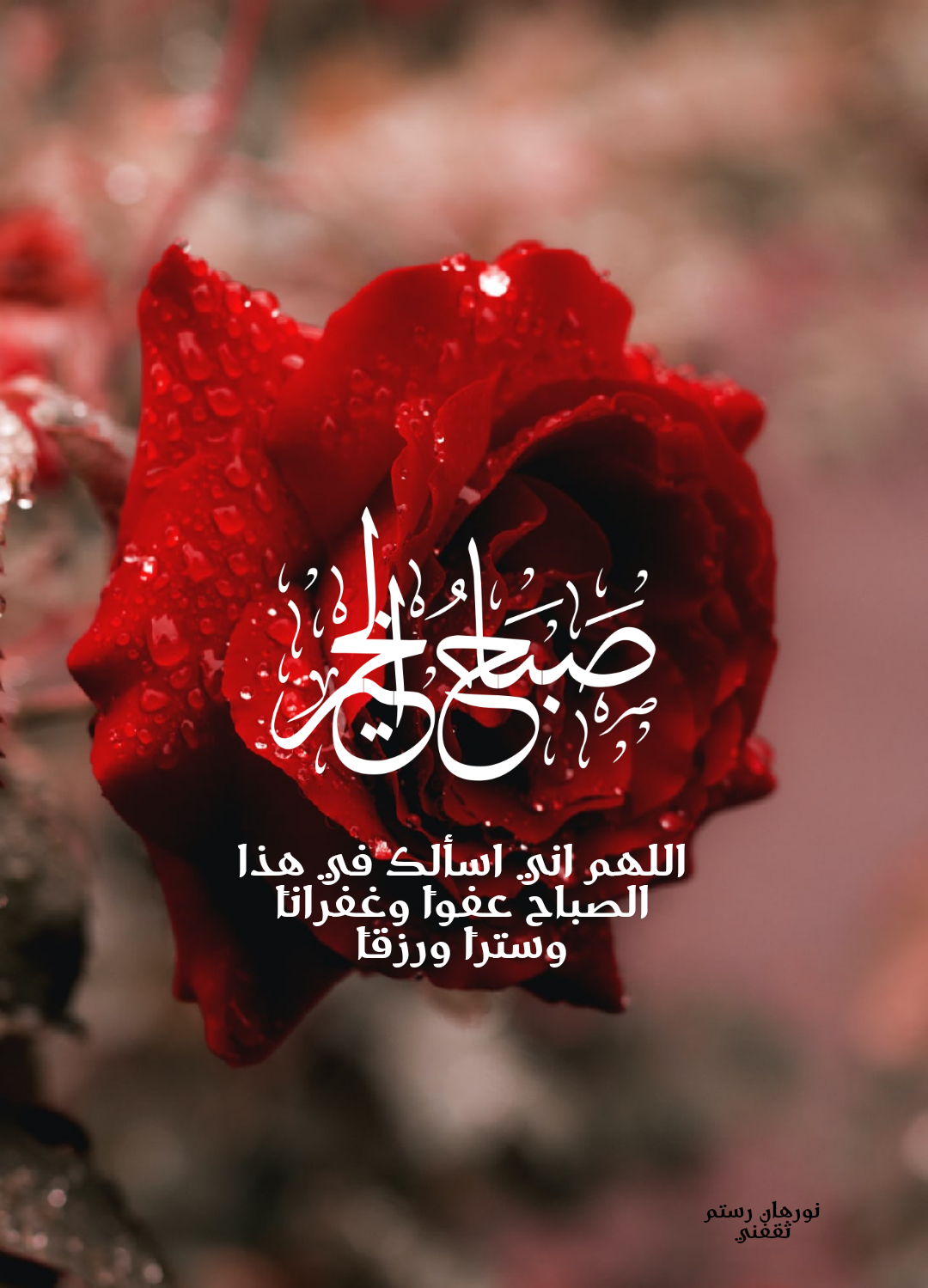 صور صباح الخير للحبيب والأصدقاء مع الدعاء ثقفني