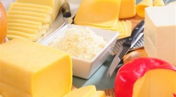 فوائد الجبنة الرومي