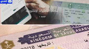 استعلام عن التأشيرة برقم الجواز منصة انجاز