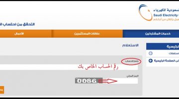استعلام فاتورة الكهرباء