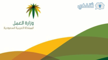 الاستعلام عن مدفوعات مكتب العمل