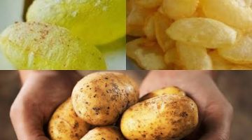 البطاطس المنفوخة المقلية