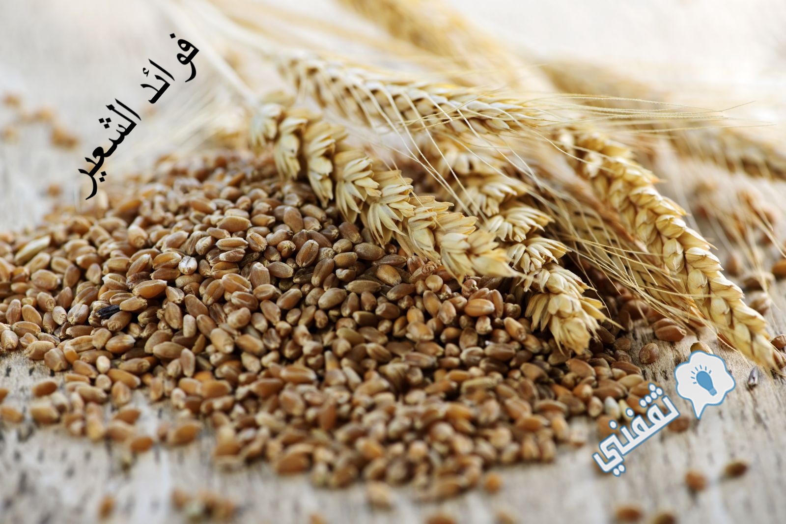 فوائد الشعير للصحة ولإنقاص الوزن بالتفاصيل