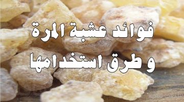 فوائد المرة