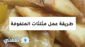 طريقة عمل مثلثات الملفوفة