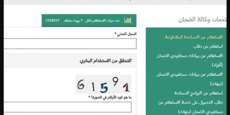 استعلام المقطوعة برقم السجل
