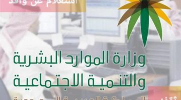 استعلام عن وافد