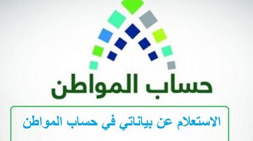 الاستعلام عن بياناتي في حساب المواطن