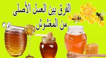 اختبارات لمعرفة العسل الاصلى من المغشوش