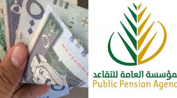 حالات إيقاف نصيب المستفيد من معاش التقاعد ورابط تحديث البيانات