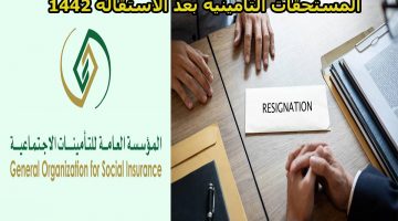 الاستعلام عن صرف المستحقات التأمينية بعد الاستقالة 1442