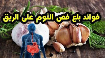 بلع فص من الثوم يوميًا