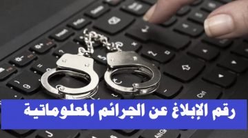 رقم الإبلاغ عن الجرائم المعلوماتية