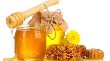 أهمية عسل النحل