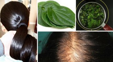 وصفة علاج تساقط الشعر من خلال الزيوت الطبيعية