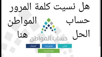 كلمة مرور حساب المواطن