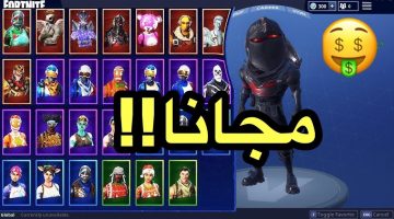 سكنات فورت نايت Fortnite مجاناً