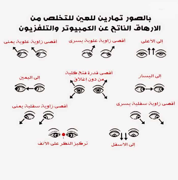 الصحيحة زاوية النظر اختار الاجابة