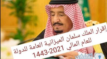 الميزانية العامة للدولة للعام المالي 2021