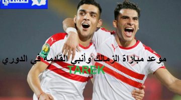 موعد مباراة الزمالك وأنبي