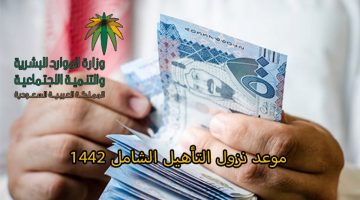 دعم ذوي الاحتياجات الخاصة