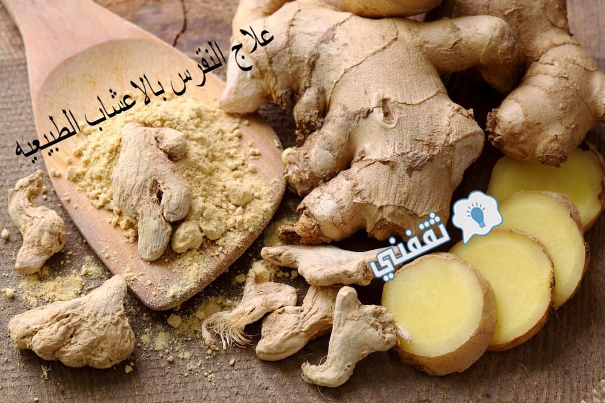 فوائد دواء فبيوريك في علاج النقرس السريع Alaylalayl