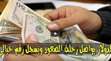 سعر الدولار في سوريا