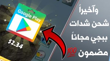 أسعار شحن شدات ببجي