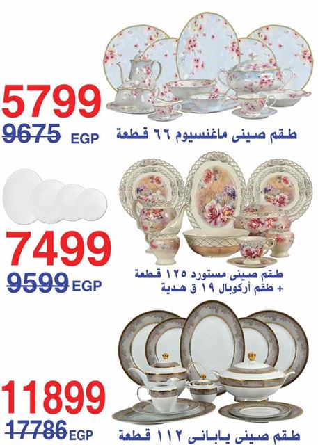 عروض المرشدى الشيخ زايد