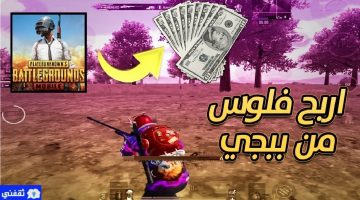 ربح المال من لعبة بابجي