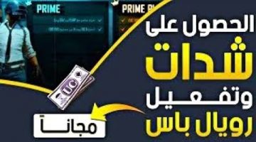 تنزيل لعبة بَبجي بواسطة الأي دي(ID)