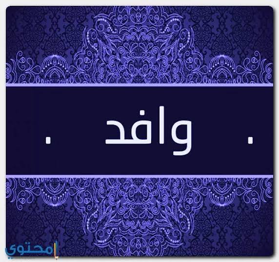 الاستعلام عن وافد