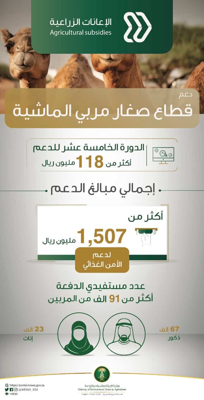 برنامج صغار مربي الماشية