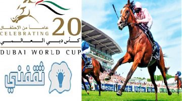 جمعية الإمارات للخيول العربية تطلق أول سجل أنساب إلكتروني