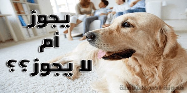 حكم تربية الكلاب في المنزل