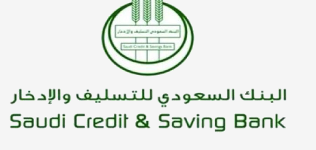 كيف تملأ نموذج 105 Credit Bank إلكترونيًا ، علمني