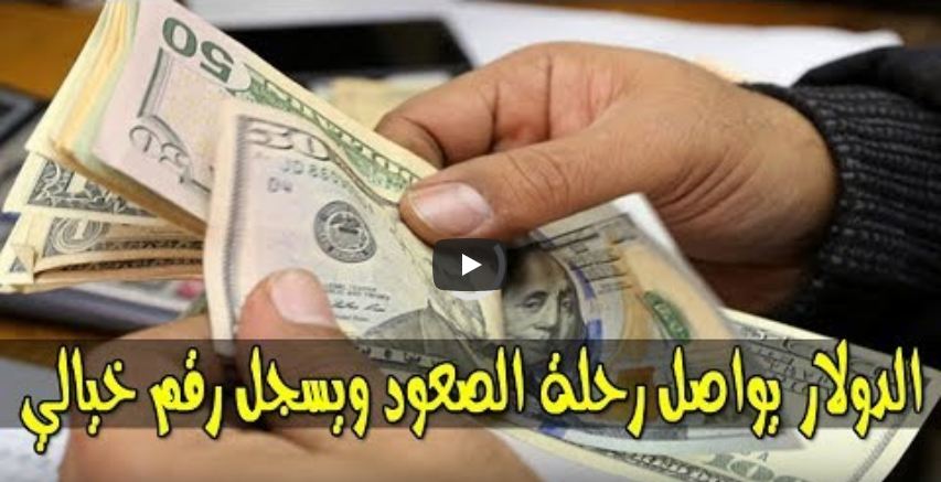 سعر الدولار