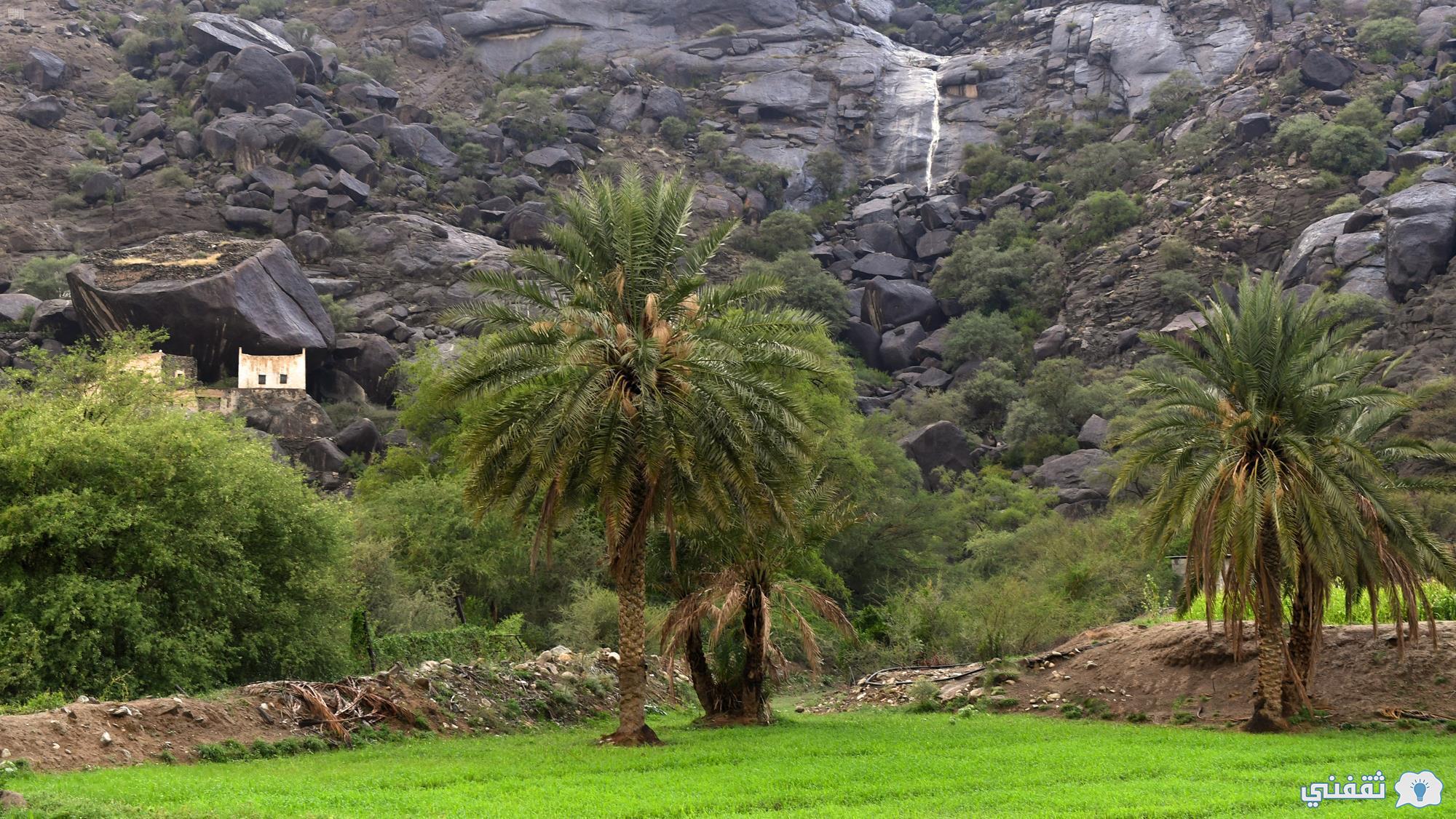 المساحات الخضراء