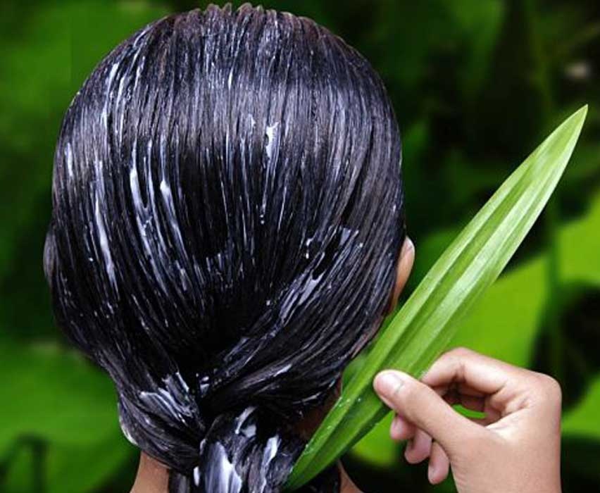 وصفات طبيعية لتنعيم الشعر