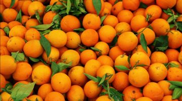 فوائد واستخدامات لقشور البرتقال