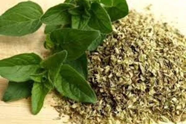 فوائد البردقوش