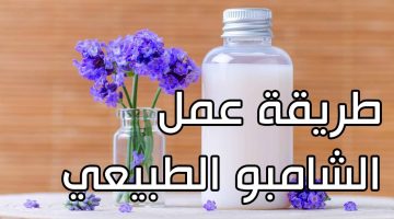 شامبو لفرد الشعر