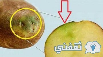 أكلة بطاطس تسبب في وفاة أسرة