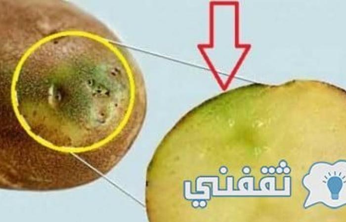 أكلة بطاطس تسبب في وفاة أسرة بأكملها