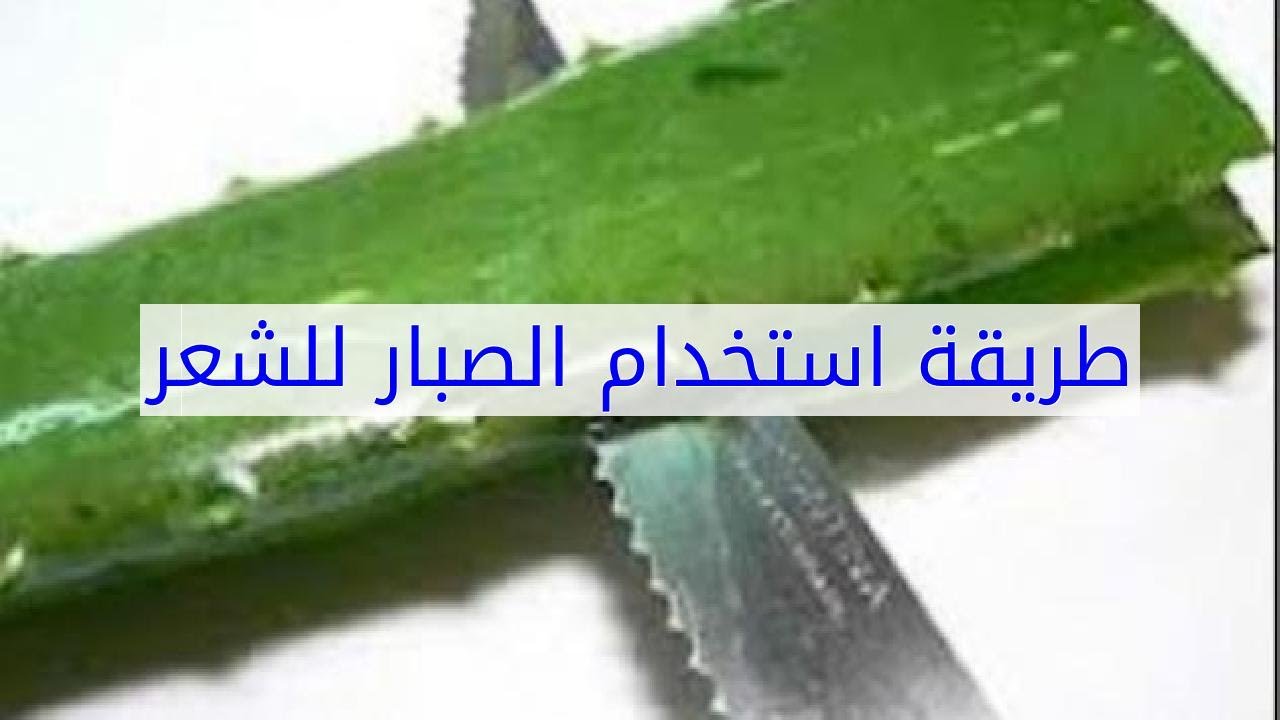 تخلصي من تساقط شعرك بالصبار