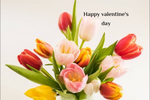 أسعار هدايا عيد الحب